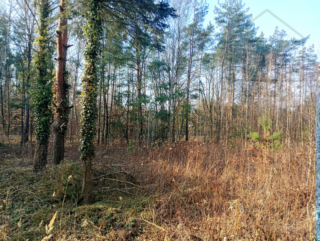 Działka Sprzedaż Serock 4