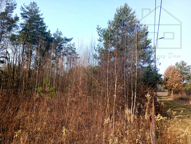 Działka Sprzedaż Serock 10