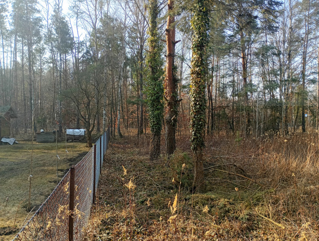 Działka Sprzedaż Serock 3